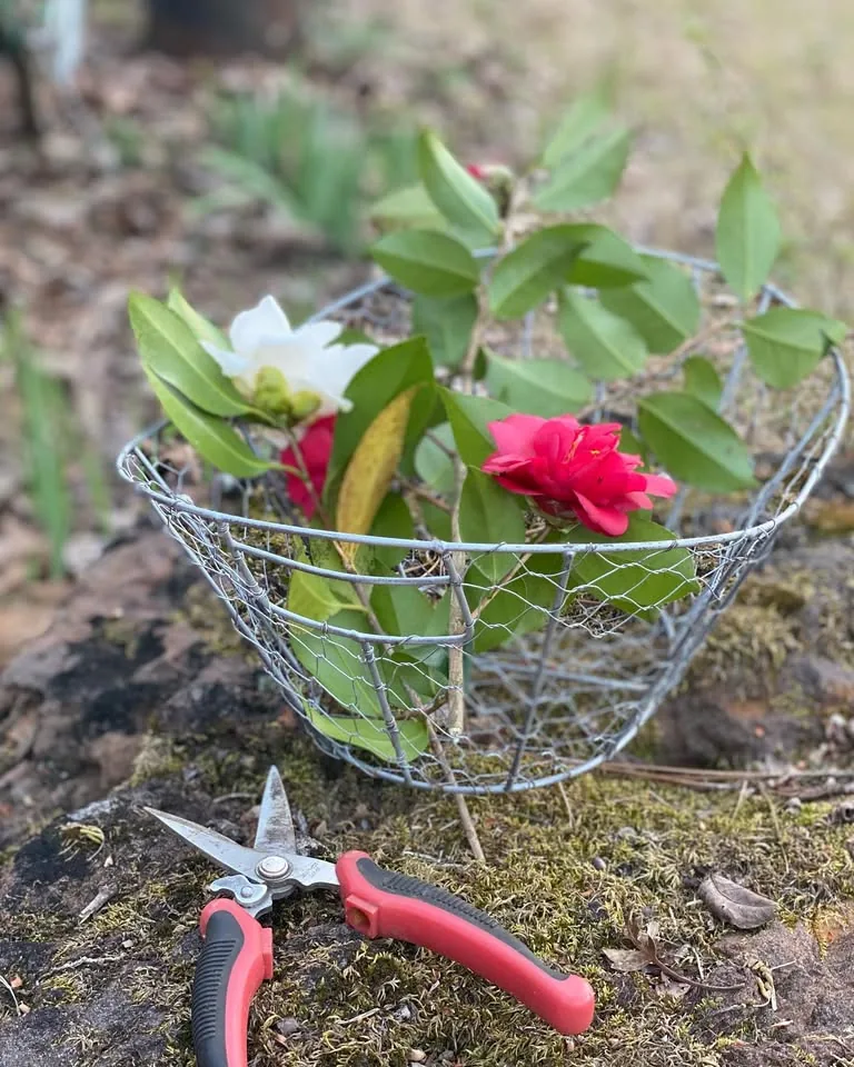 A garden basket with cut flowers and tools
