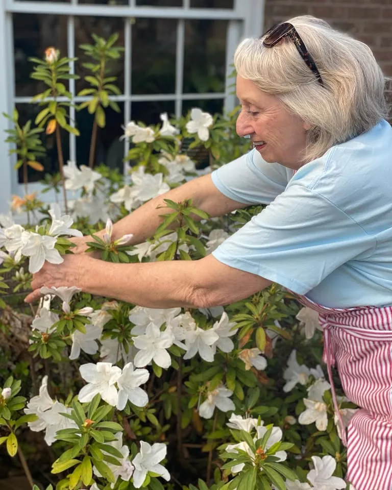 Southern garden harvest